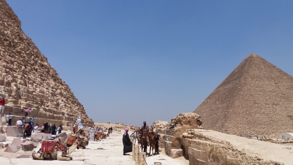 egypt-travel-giza-cairo-pyramids-camels-1430967-pxhere.com
