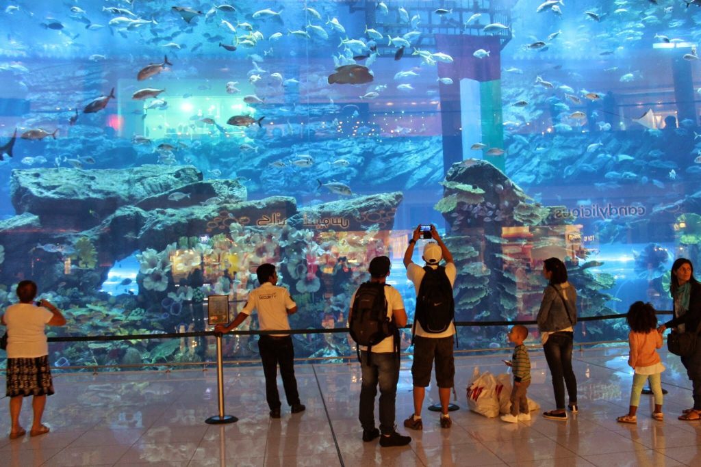 2048px-Dubai_Aquarium