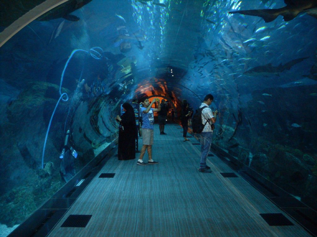 Dubai_Aquarium2