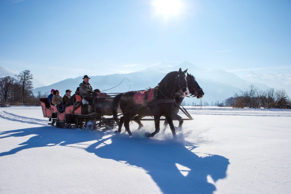 winter_pferdeschlittenfahrt_in_atemberaubender_kulisse_2x